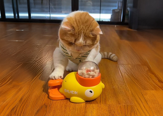 Interactive Treat Toy Dispenser