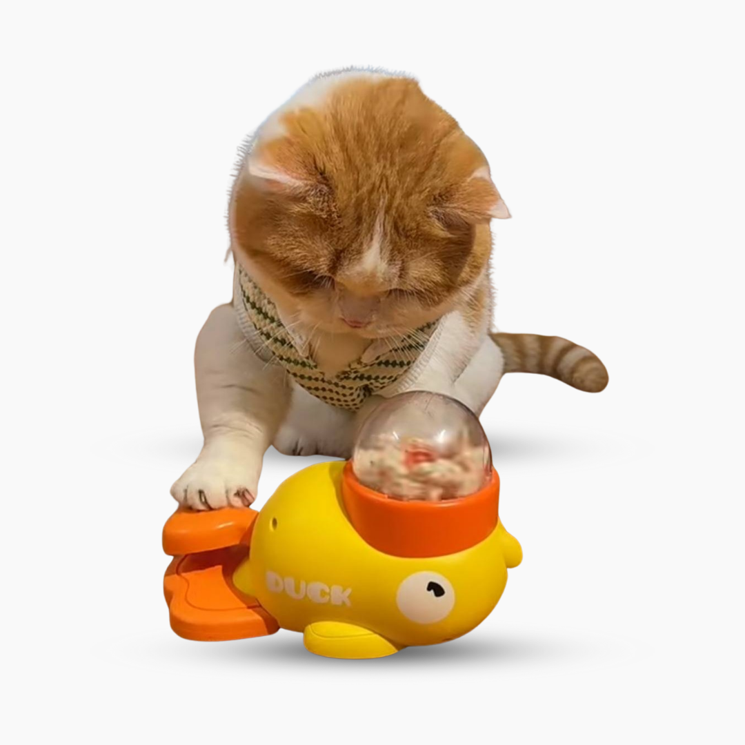 Interactive Treat Toy Dispenser